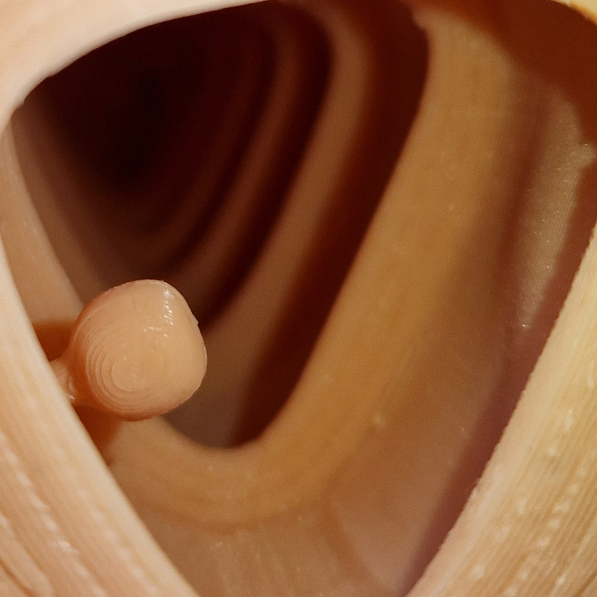 SimStar Colon Basic curved – Dr. Henke
